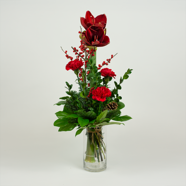 Korkea amarylliskimppu