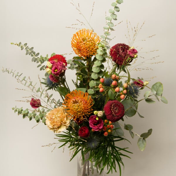 Wild and captivating