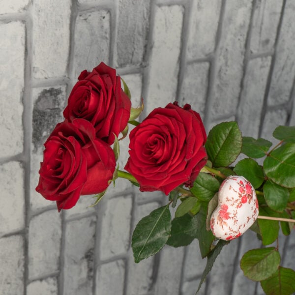 Ystävänpäivä sydän