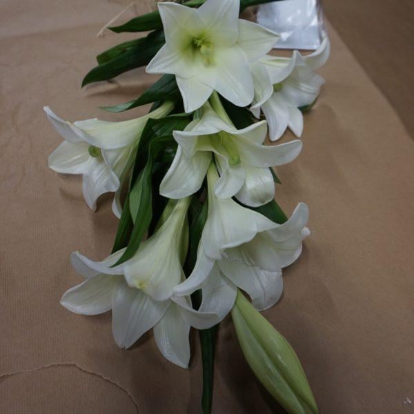 Funeral bouquet white lily