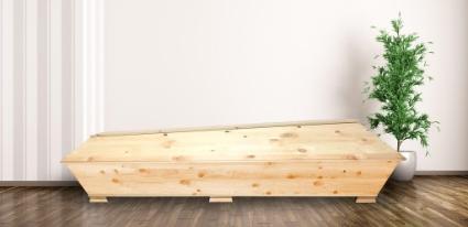 <a href="https://www.laajasalonkukkapalvelu.fi/tuote/suoratuhkaus-arkku/">Suoratuhkaus arkku</a>