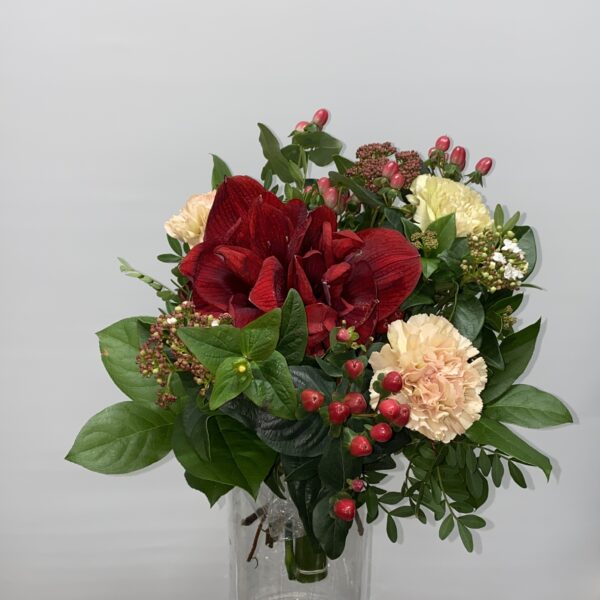 Matala amarylliskimppu